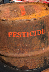 Farmers Using Pesticides with GM Crops