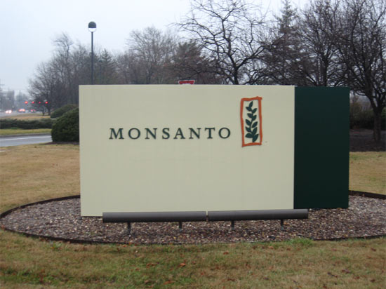 Is Monsanto going non-bmo?