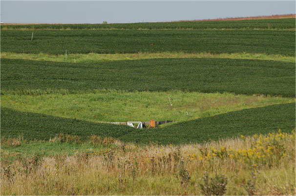 Prairie strips to prevent soil erosion