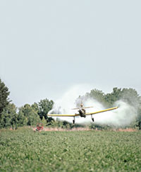 Pesticide crop duster and gm crops