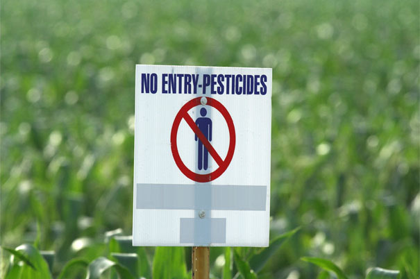 pesticides gm crops