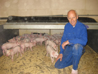 lb Borup Pedersen’s believes that GM soy caused reduced fertility in his pigs