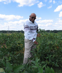 Tadesse Mebrahtu and edamame soybean varieties