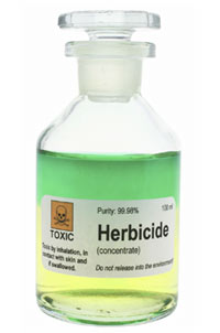 Weeds resistant to toxic herbicide