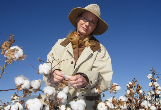 Jane Dever, organic cotton breeder at Texas A&M AgriLife Research