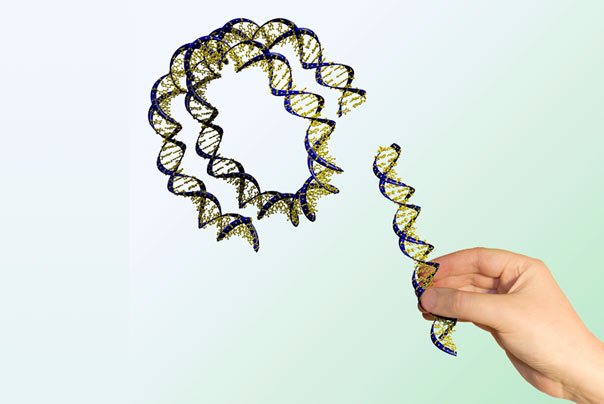 DNA strand genetic engineering