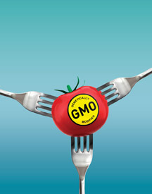GMO Food Labeling