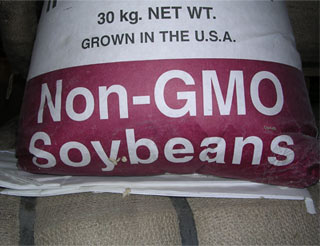 Non-GMO soybeans grown in the USA