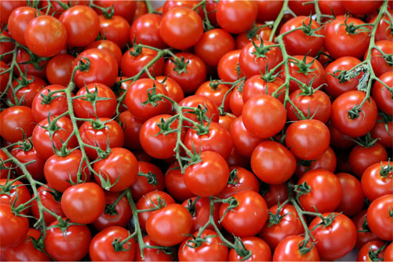 Organic non-gmo tomatoes