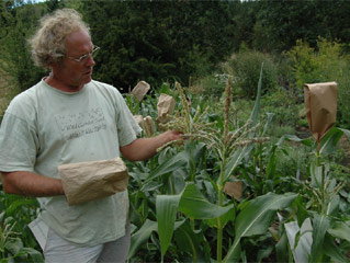 Frank Morton, owner of Wild Garden SeedsFrank Morton, owner of Wild Garden Seeds