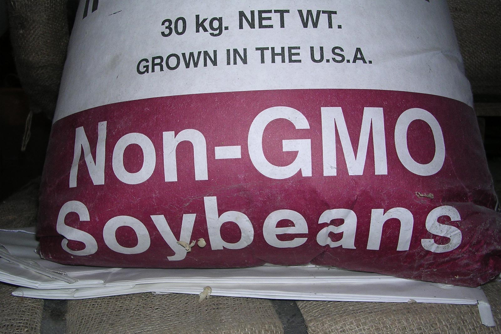 Non-GMO Soybeans