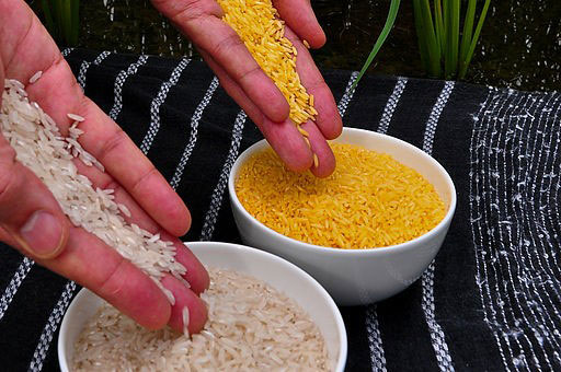 Non-gmo golden rice