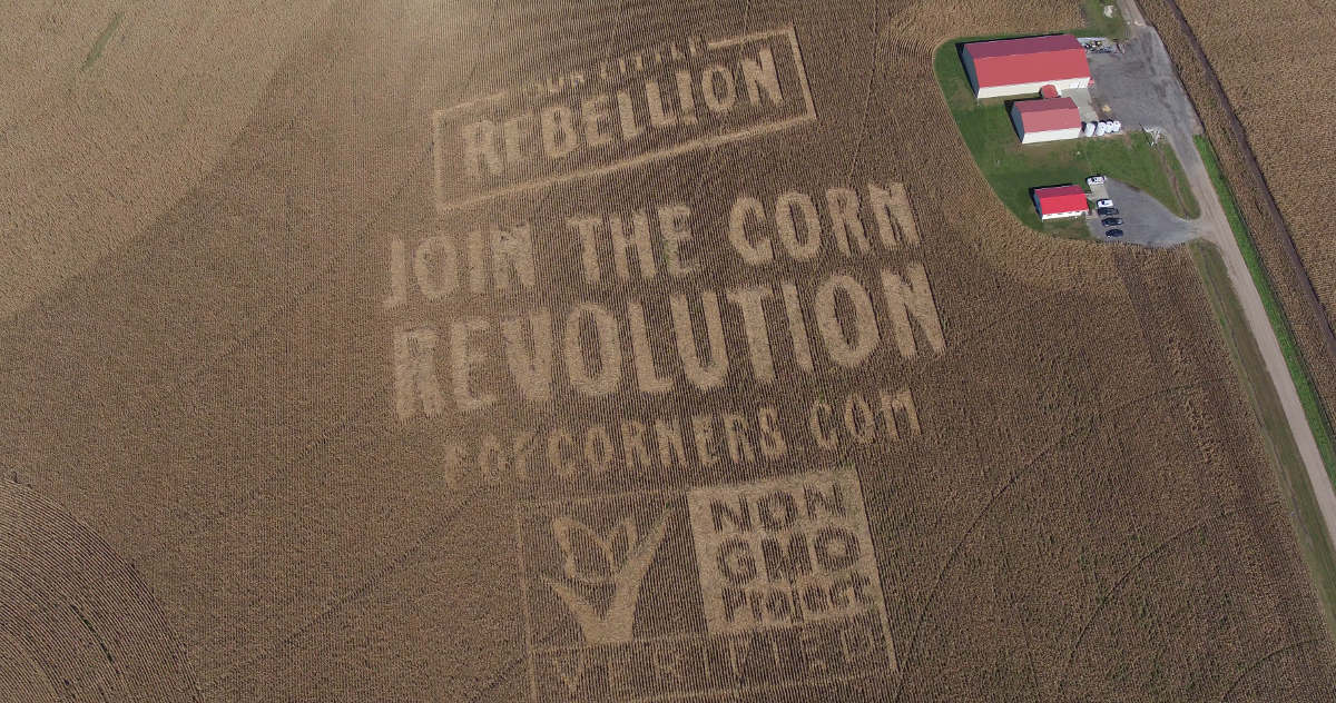 Join the Corn Revolution