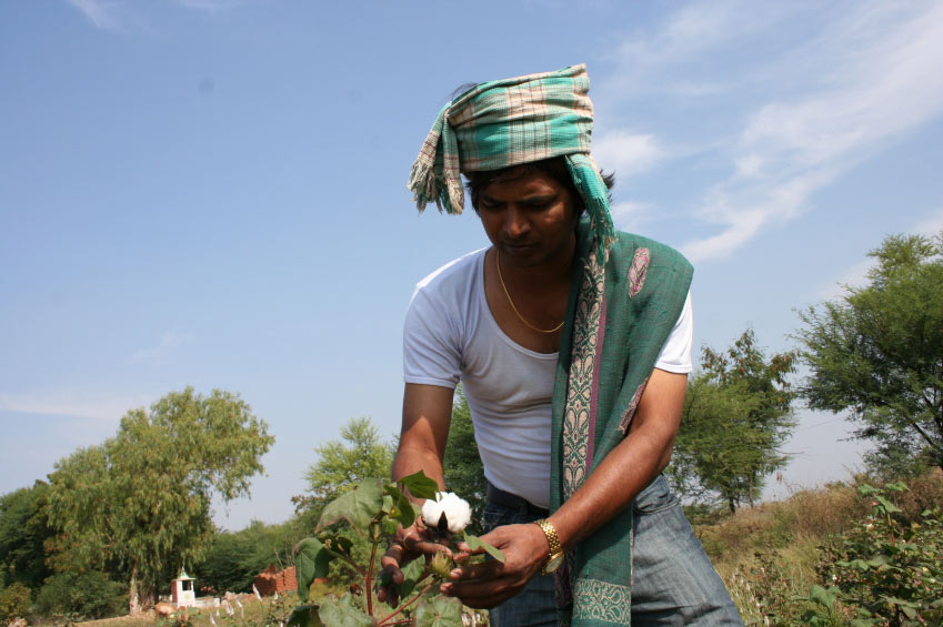 Indian cotton farmer in field