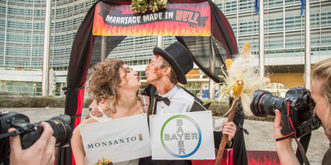 Monsanto and Bayer marriage made in hell