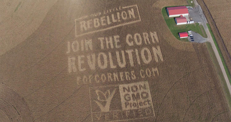 Join the corn revolution popcorners.com