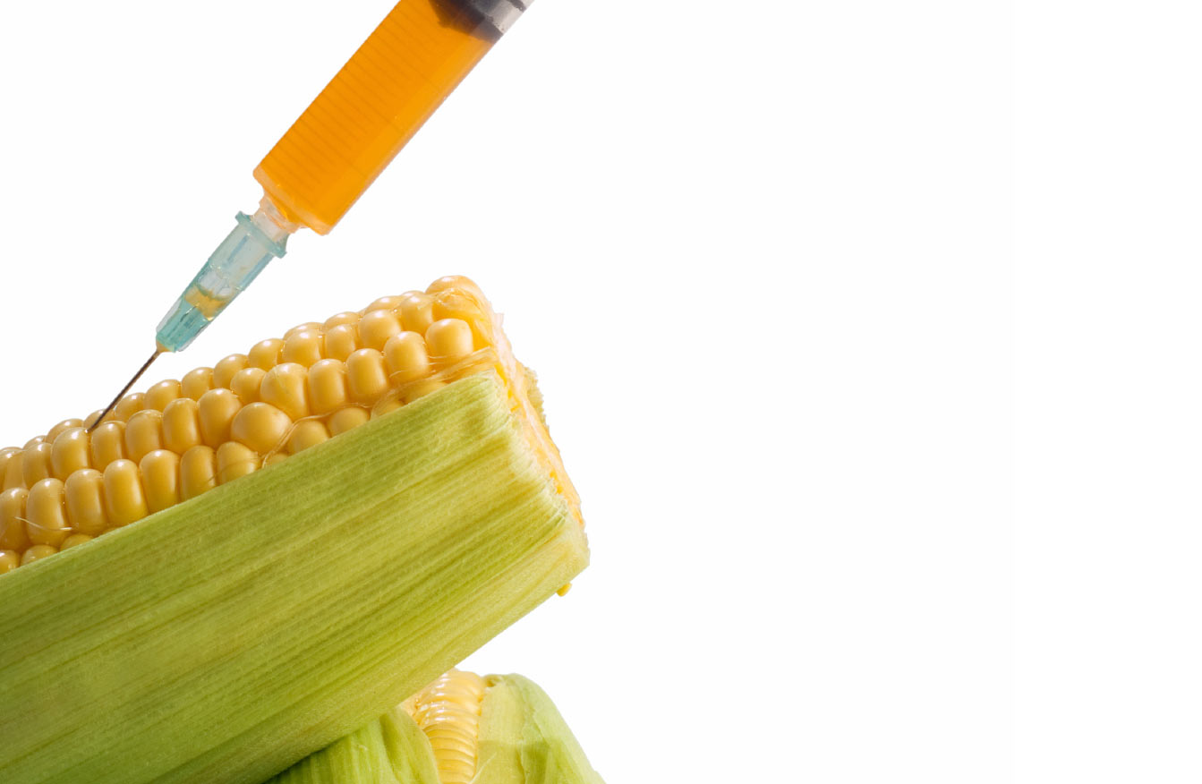 Genetic corn modification