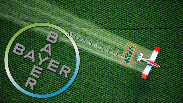 Monsanto Bayer field