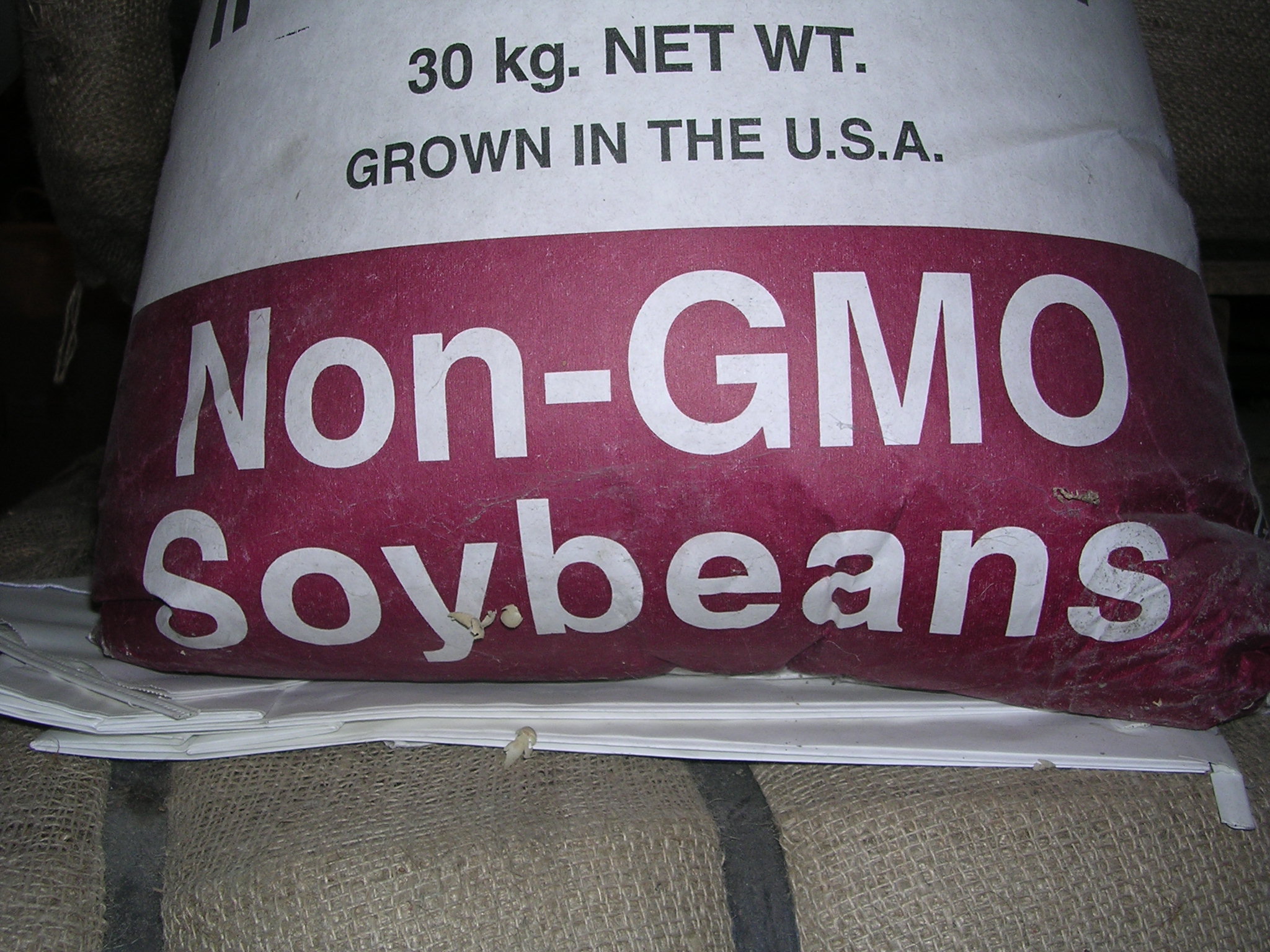 Non-GMO Soybeans