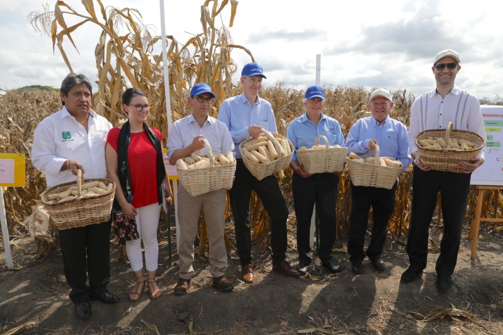 Maize for Columbia partnership