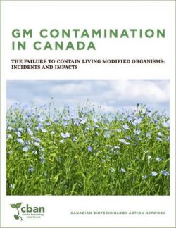 GM contamination in Canada cove