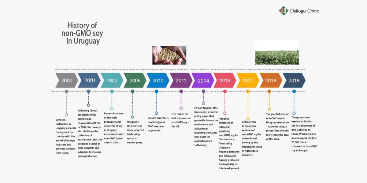 History of non-GMO soy in Uruguay chart