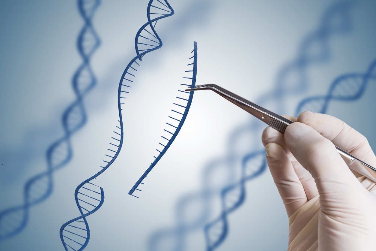 Hand inserting sequence of DNA