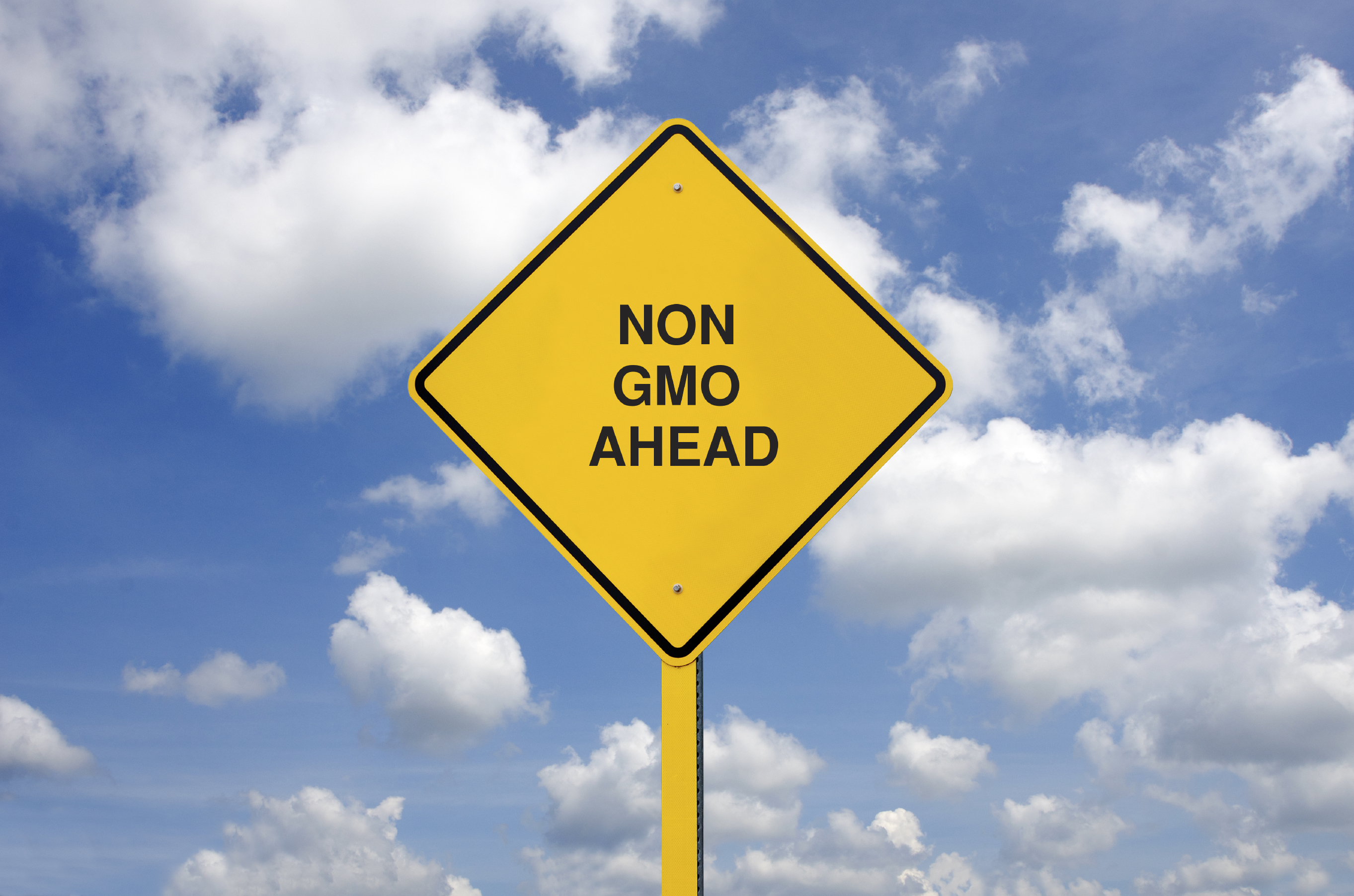 Non GMO Ahead road sign