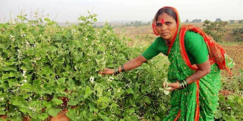 Rahibai Soma Popere in field