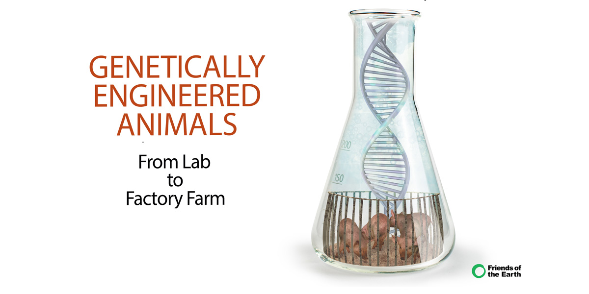 Genetically Engineered Animals report cover
