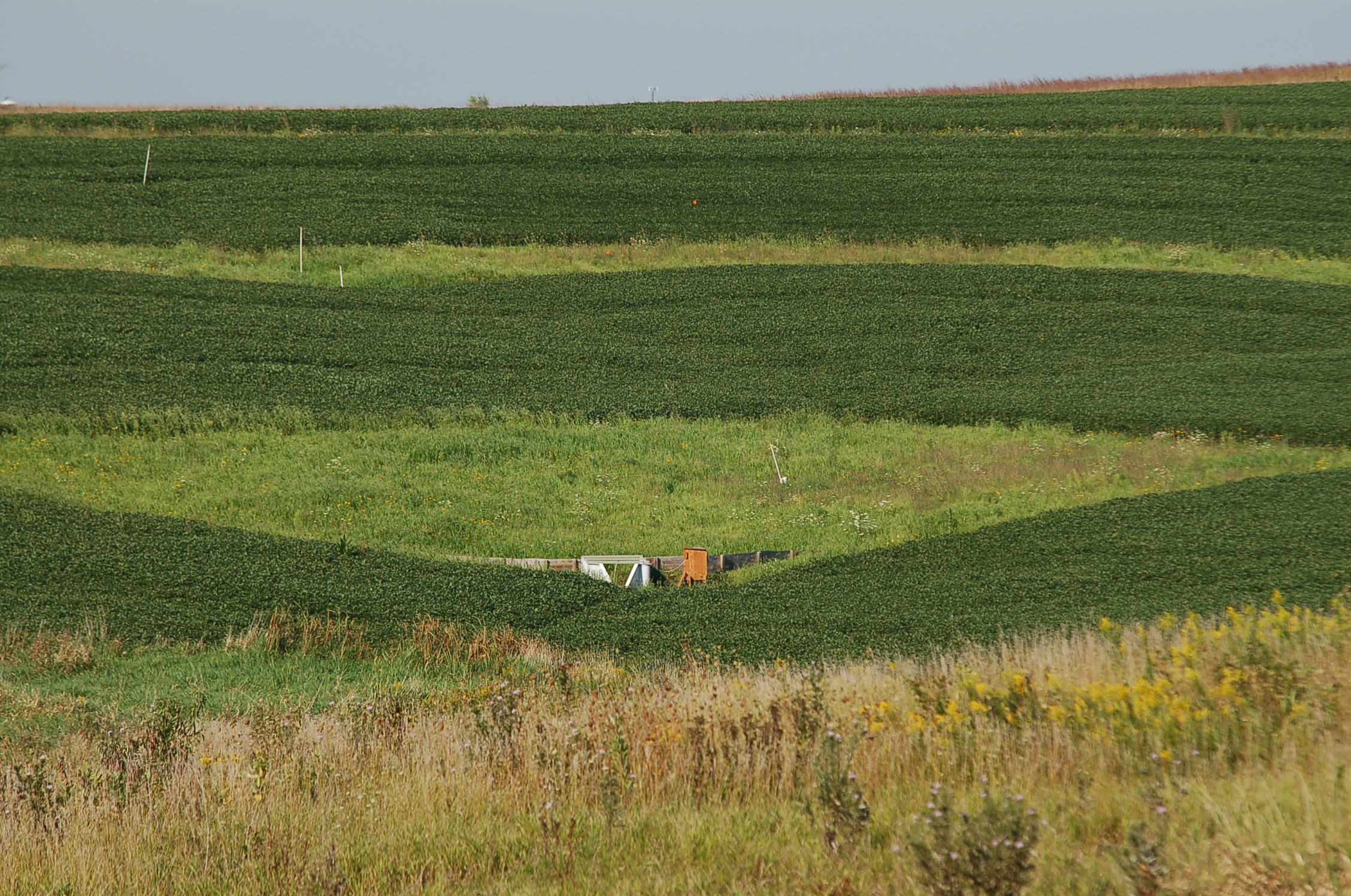 Farm field rows on horizon