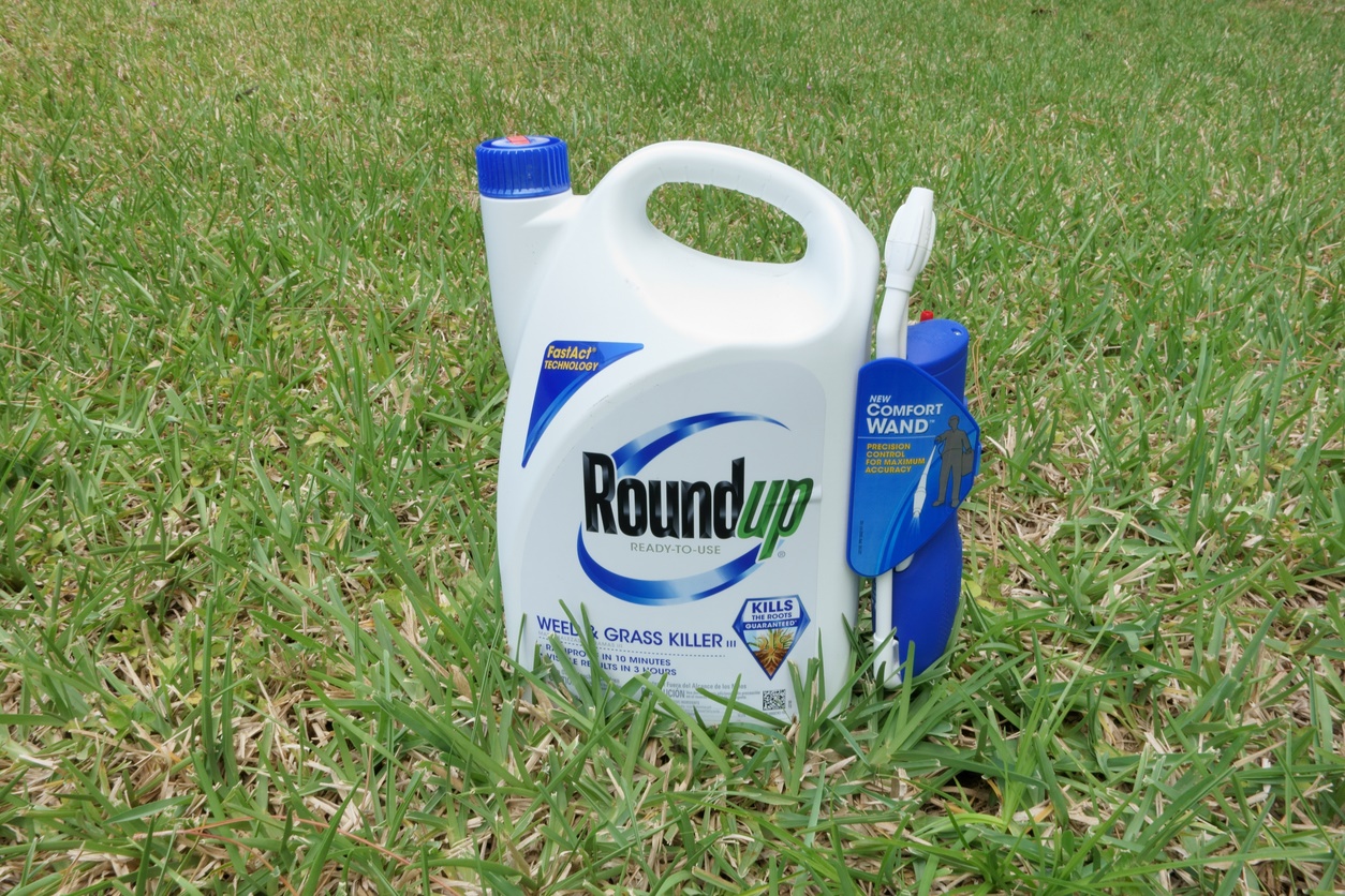 Roundup bottle in grass