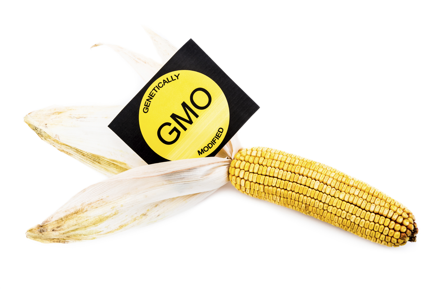 see-a-difference-gmo-corn-vs-non-gmo-corn-neither-can-science