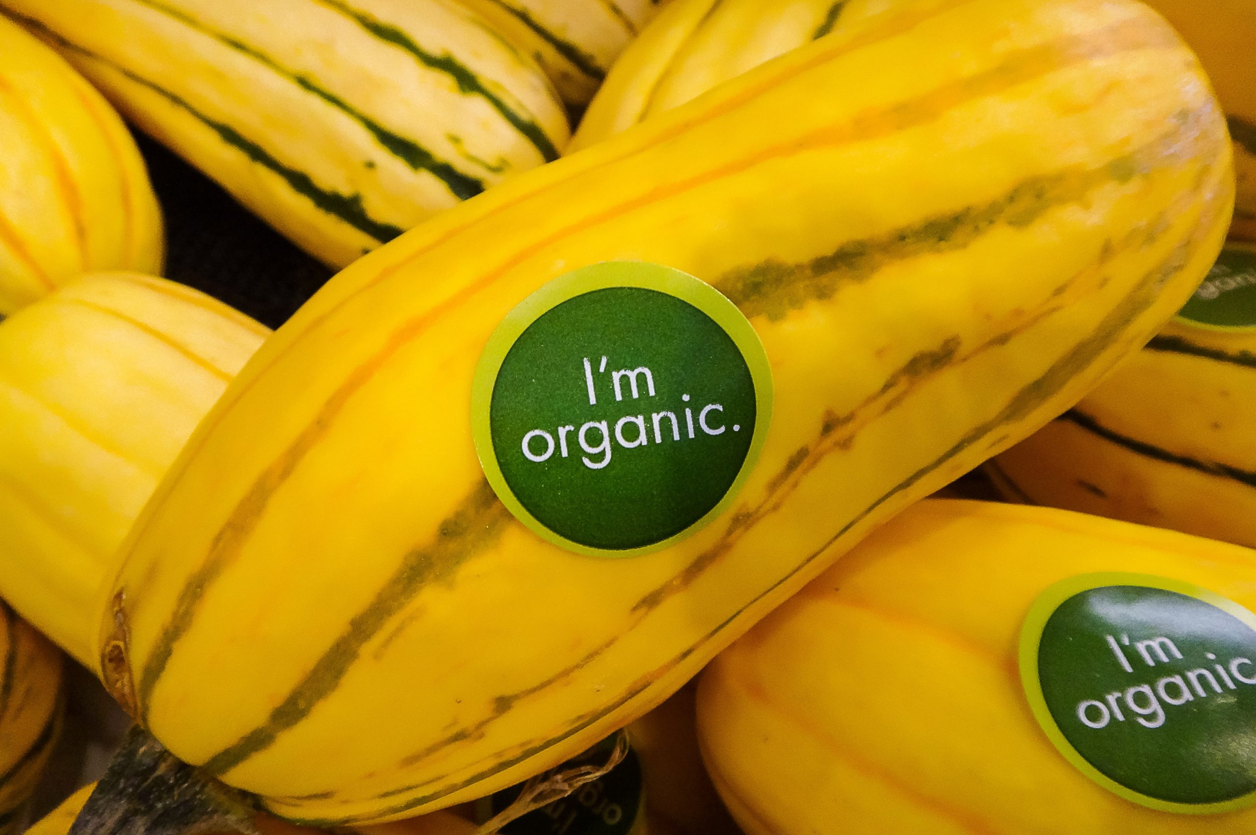 Organic yellow squash with I'm organic label