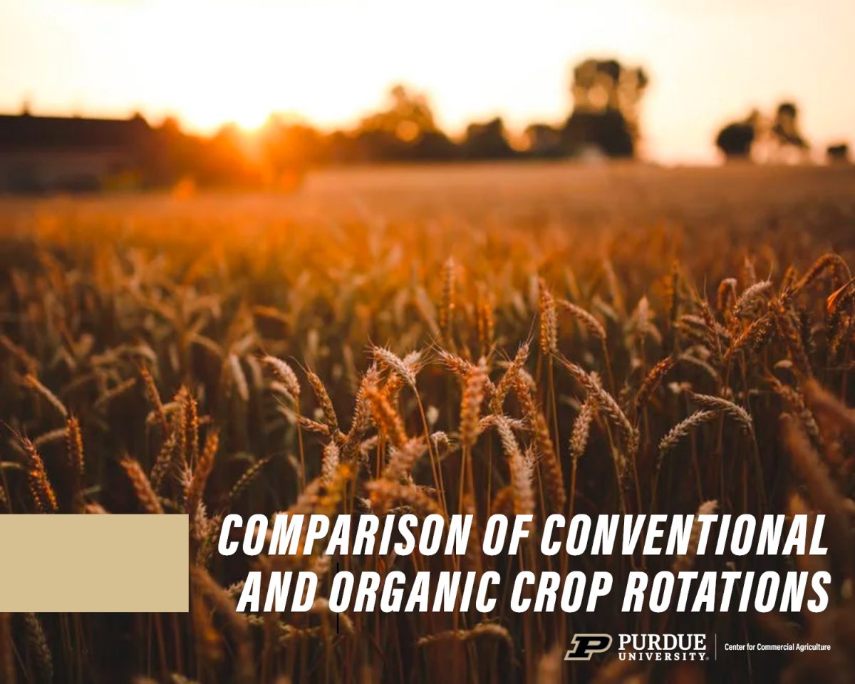 Study Finds Organic Farming More Profitable Than Conventional | The ...