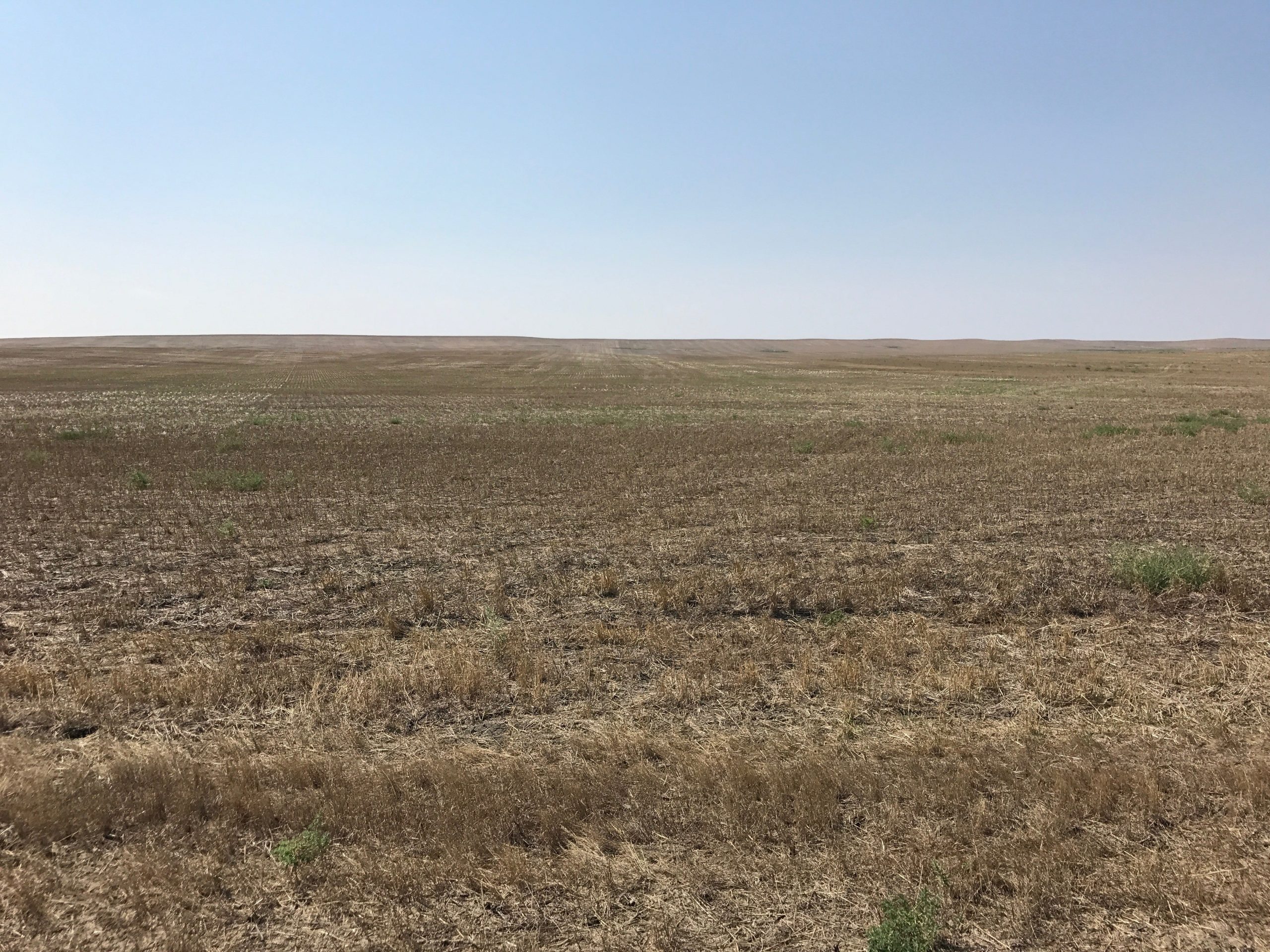 Gunsmoke Farms barren field