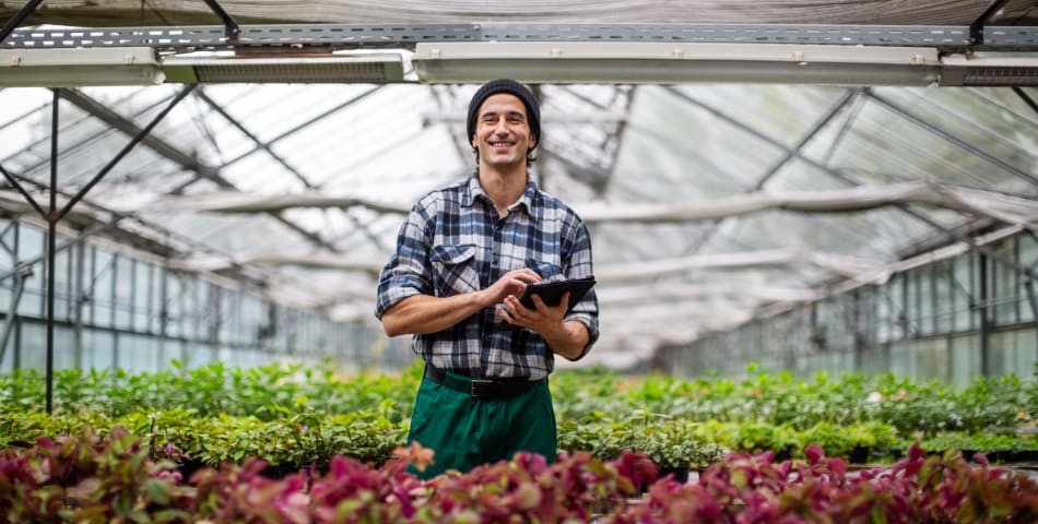Man in greenhouse with laptop