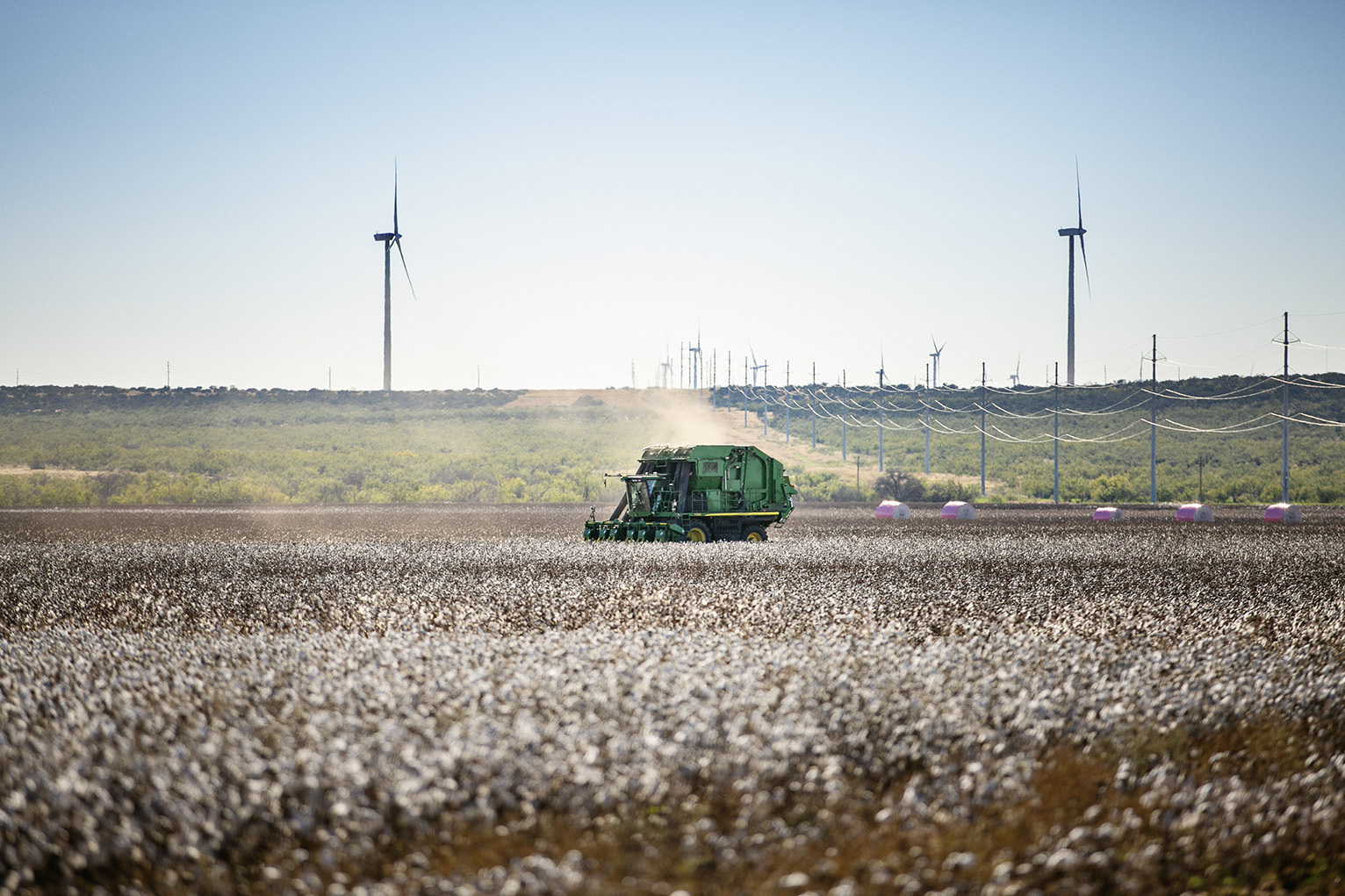 Tractor in cotton field