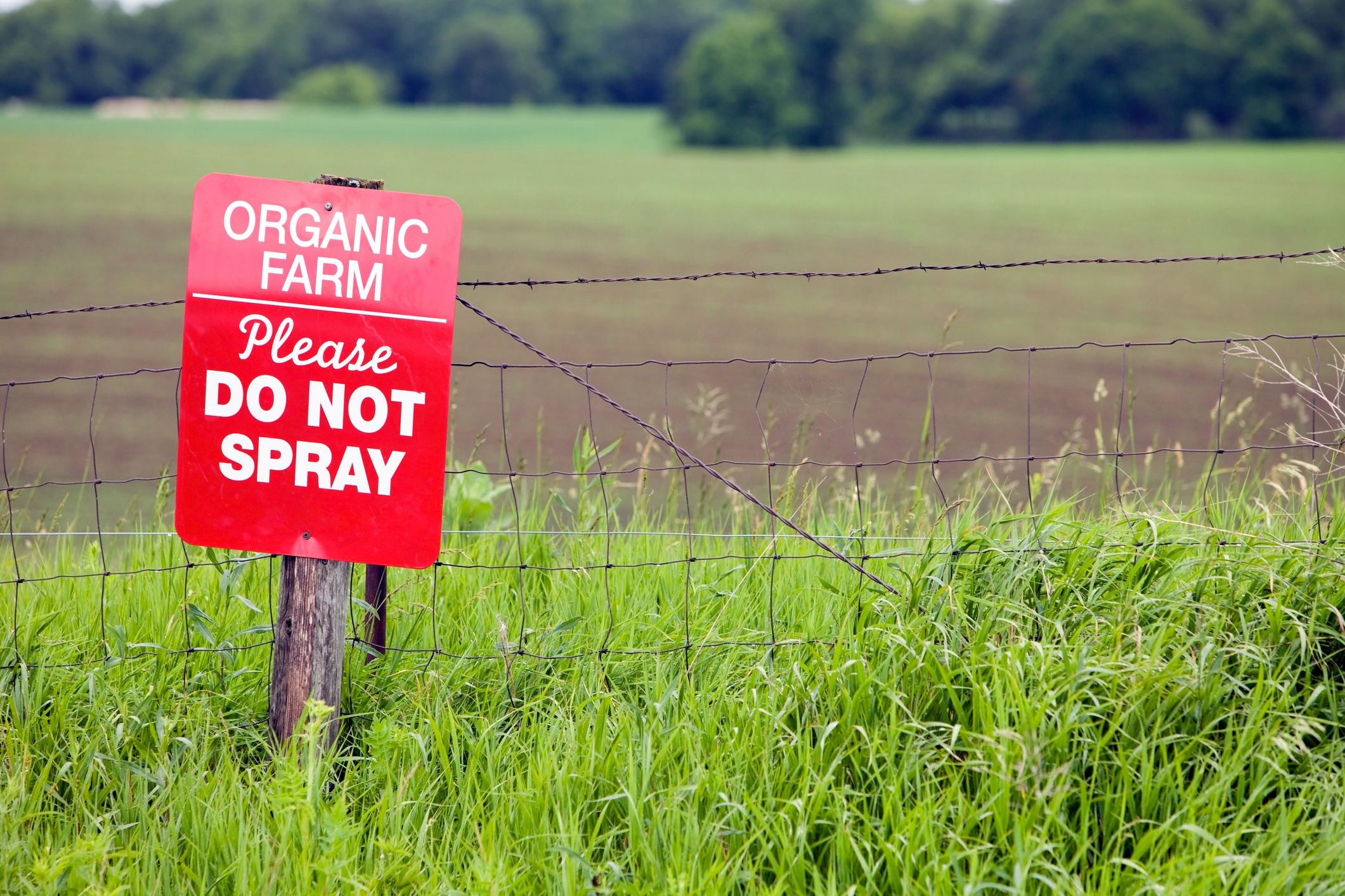 Photo of Organic do not spray sign