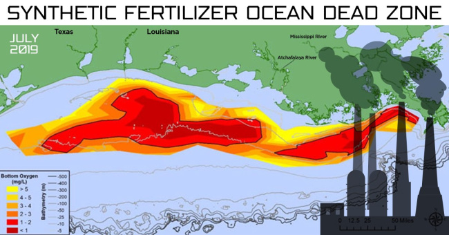 synthetic fertilizer deadzone