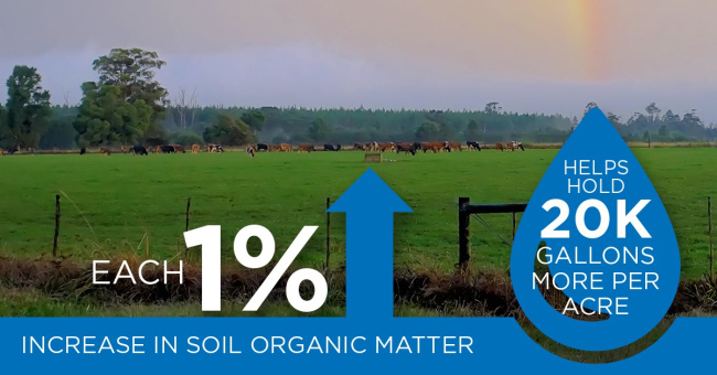 Increase in organic soil matter