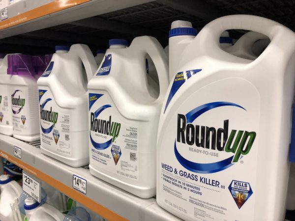 The poison in our daily bread: Study finds high levels of weedkiller in  common supermarket foods