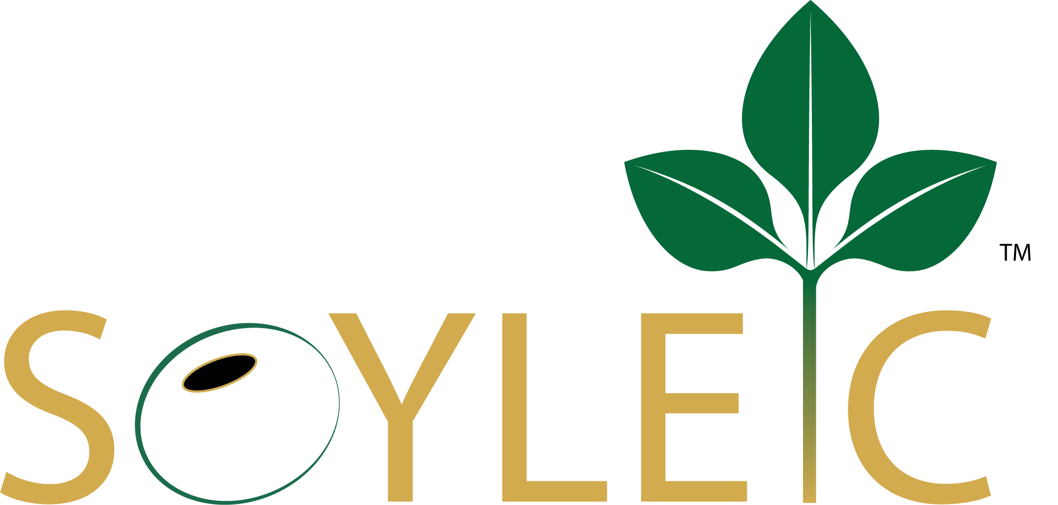 New high oleic soybean trait is a functional, sustainable, and non