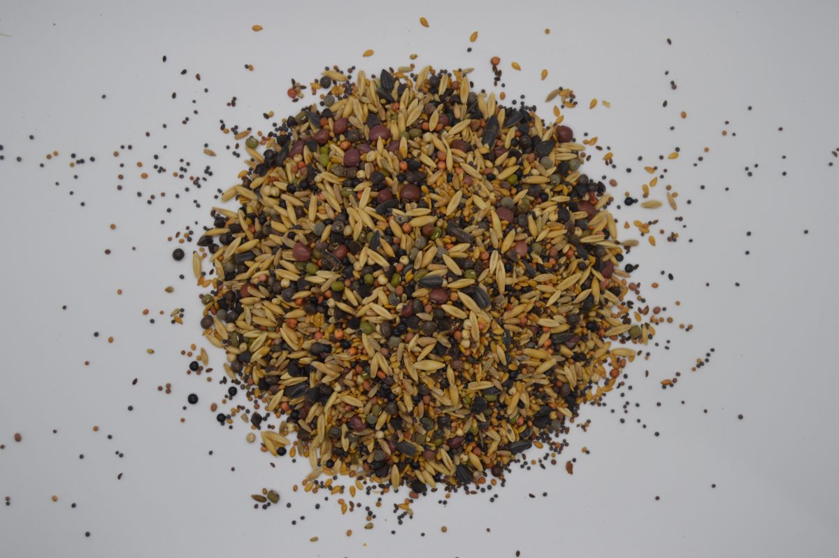 Green Cover Seed Leads The Charge On Cover Crop Growth The Organic 