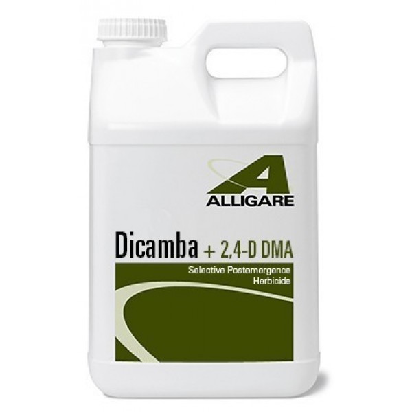 Dicamba