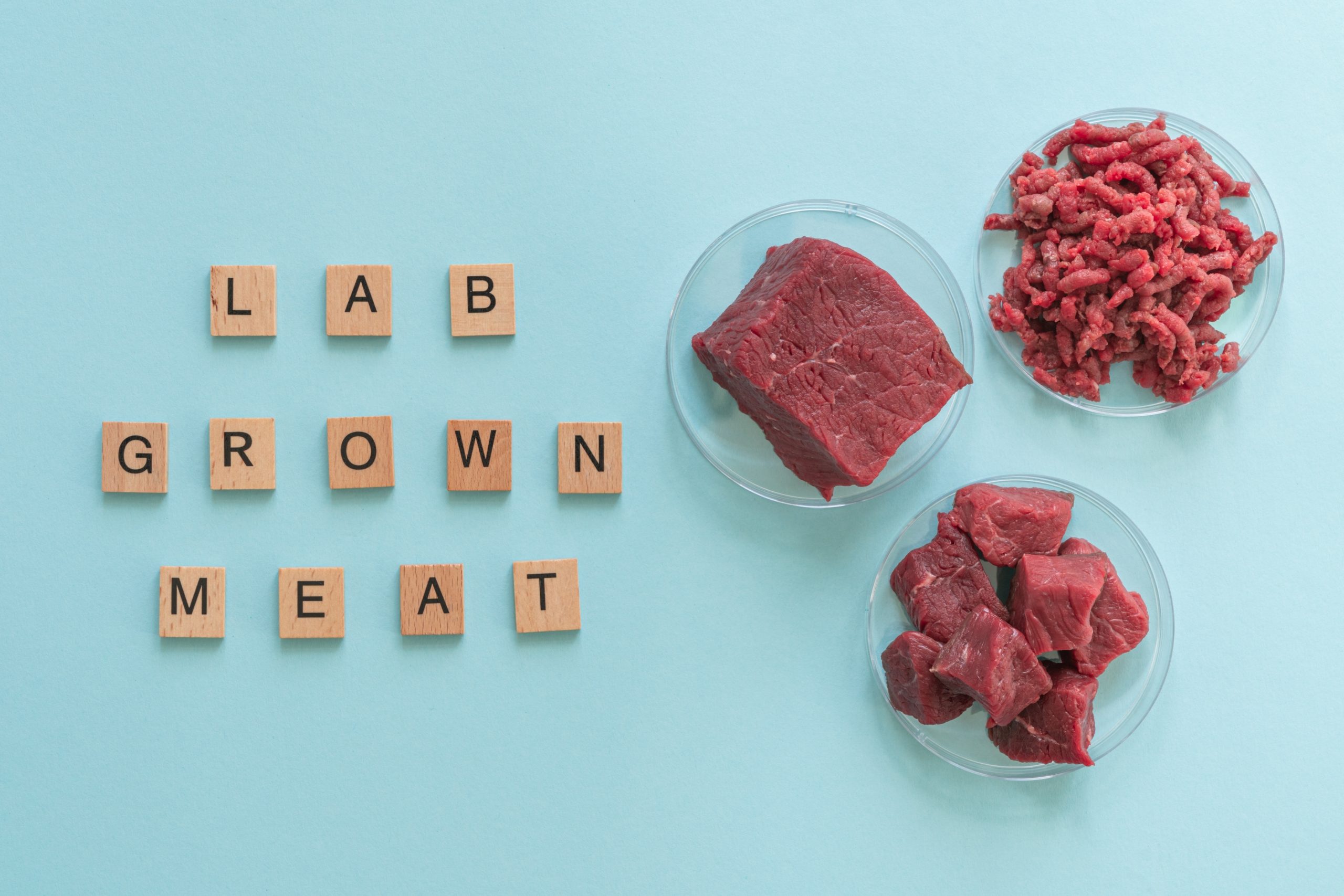 Should lab-grown meat be called meat?