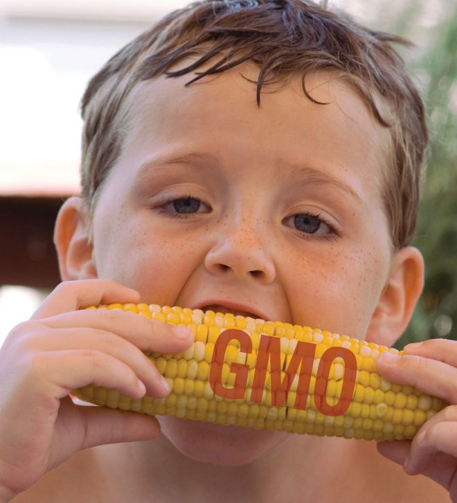 Boy eating GMO corn