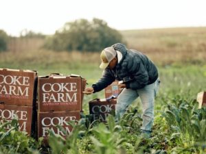 Coke Farm in central California. Image credit: Maria Narez/Daily Harvest