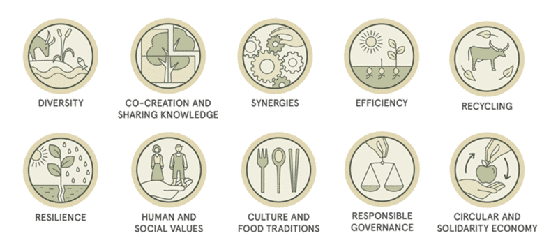 10 elements of agroecology