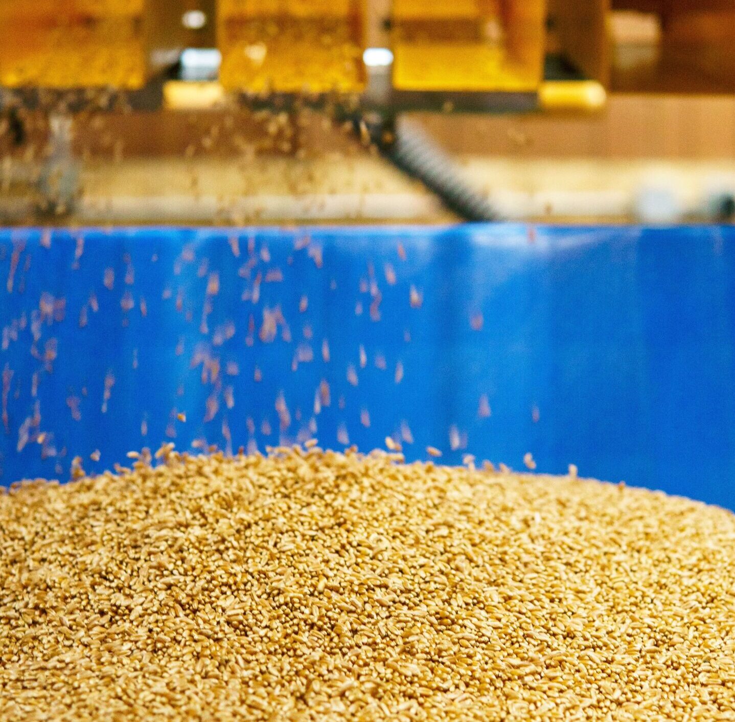 small grain cleaning system infrastructure for local mills